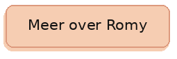 Meer over Romy